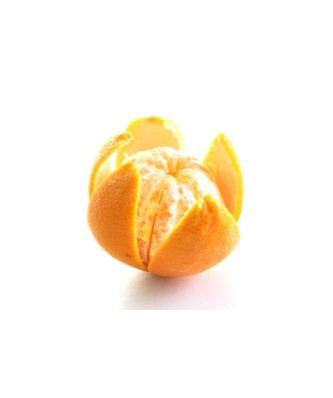 Nóż do obierania cytrusów - precyzja i ergonomia